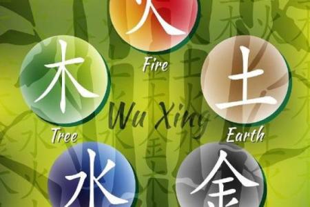 木命的人适合什么颜色背景?探索五行之美与生活的和谐