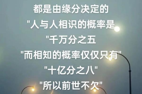 命理揭秘:灵魂伴侣的命相解析,人与人间的深厚缘分! 命理揭秘:灵魂伴侣的命相解析,人与人间的深厚缘分!