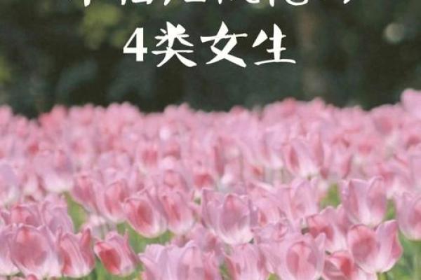 烂桃花命的特征与解读：爱恨交织的命运之旅