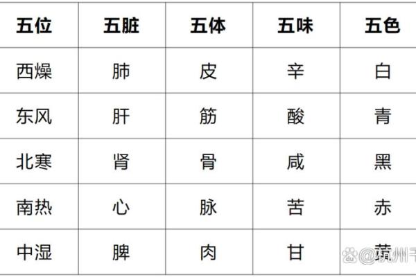 揭秘壬寅年五行探秘：水命与金命的深层解析