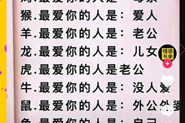 56年属相解析：你的命运与生肖的深刻关联