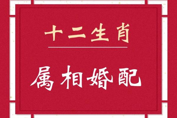 属相婚配中，最理想的命配对是哪个？探寻最佳伴侣组合！