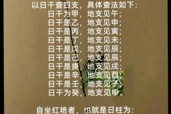 1996年出生的人命运解析：八字看运势，勇敢追梦的时代青年