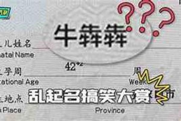 解析辛亥月女命的命理特征与运势解析，助你把握人生机遇！