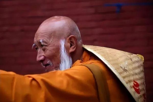 揭开十三条命的神秘面纱：高僧预言的未来与哲思