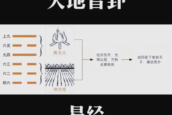 火命与地支：解析哪些地支助火命大贵