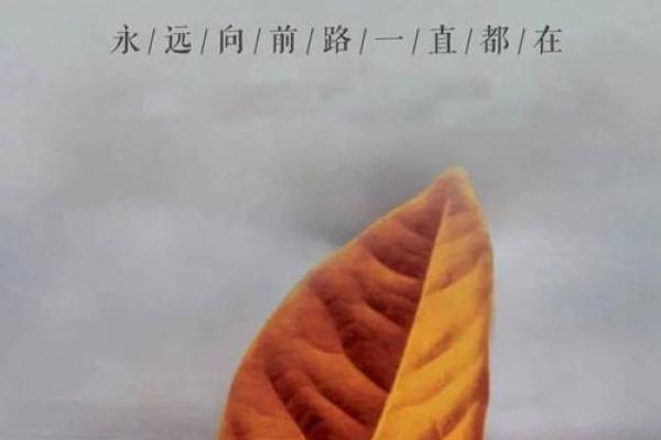 了解命格的深奥与复杂：何种命格最不容易应对人生挑战？