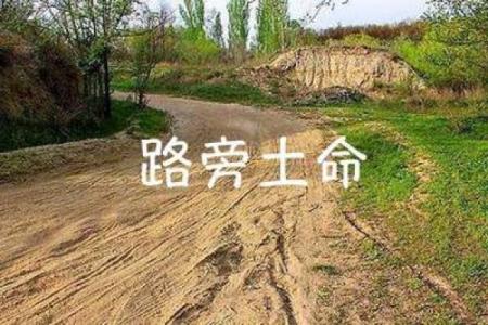 路旁土命最旺的行业分析：探索土命之人的发展潜力与选择