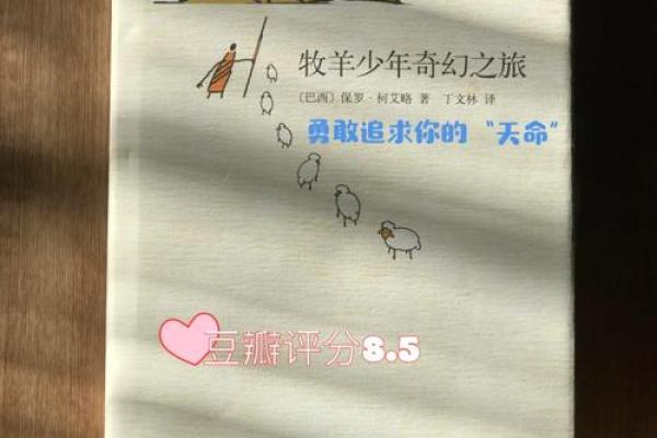 嫁给穷人：爱情与命运的交错之旅