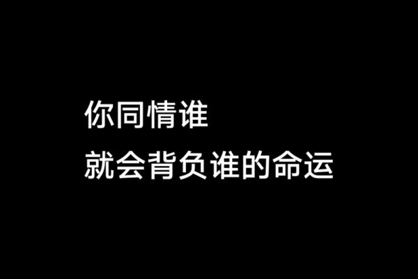 嫁给穷人：爱情与命运的交错之旅