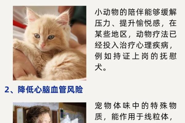 揭秘宝宝命理，助您养出健康聪明的孩子！