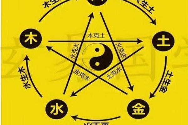 金木水火——四种命格的独特魅力与人生启示