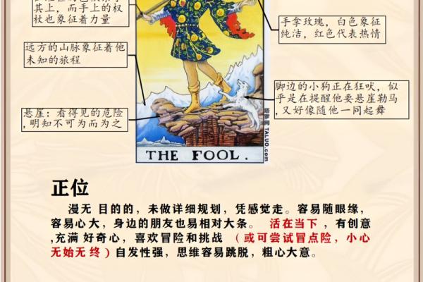 命偏的奥秘：解读命运与个性之间的关联性