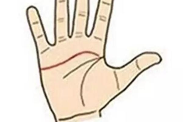 一九六零年出生的人命运解析：性格、事业与感情的全景