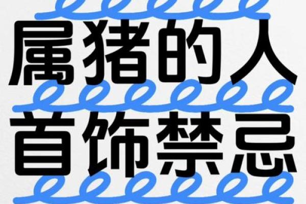 属猪金命的搭配选择：适合的配件与风格指南