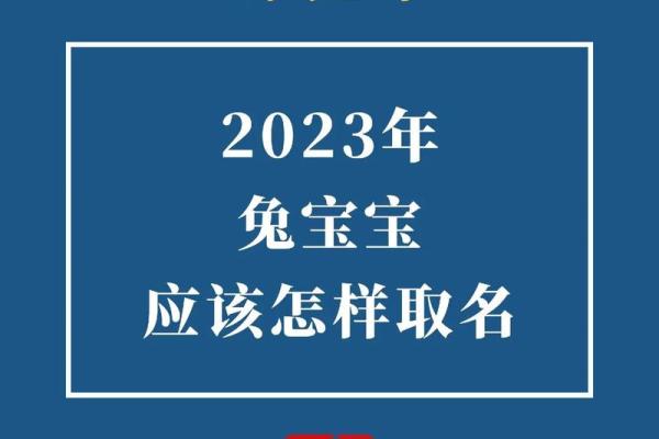 探秘2023年兔宝宝命运：未来与性格的深度解析