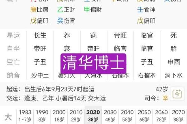 甲午生肖命格解析：探索马年出生者的命运之路