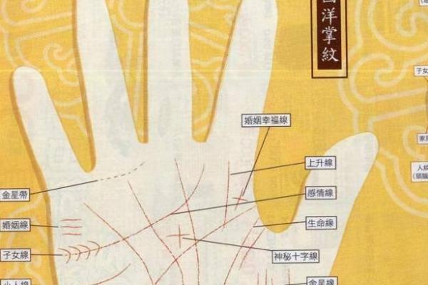 手相学解析：浅纹命理的秘密与人生启示