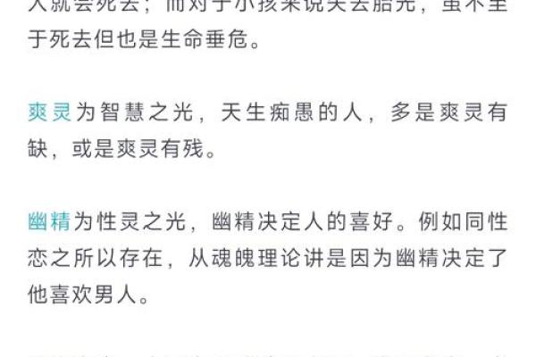 探秘三命息：了解生命与命运的奥秘之道