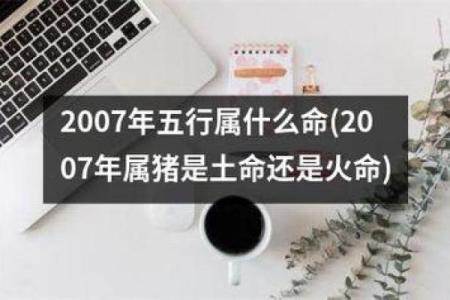 猪年6月28日出生的人命运解析与性格特征