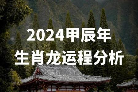 生肖命理学：探秘十二生肖对人生的深刻影响与启示