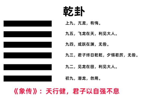 探秘乾卦：从数字解读命运的奥秘与智慧