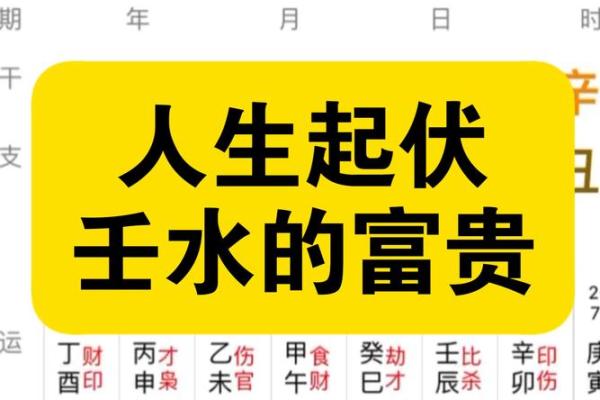 探索壬寅命局的人生特质与精彩之路