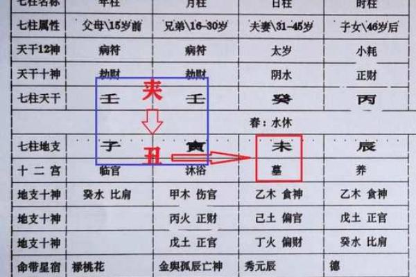 探索壬寅命局的人生特质与精彩之路