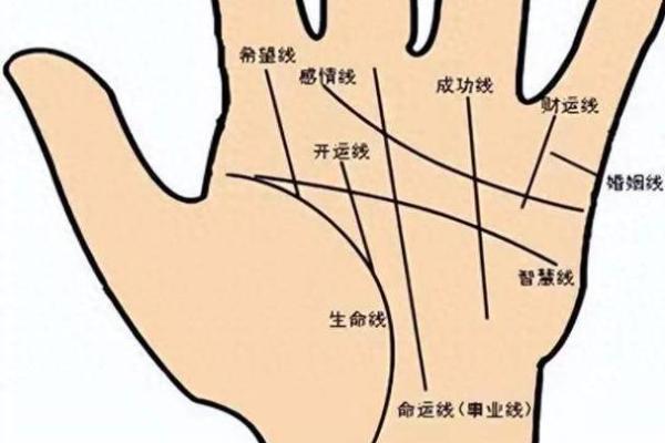 揭开女人断掌纹的命运秘密：盘点断掌女人的性格与人生轨迹