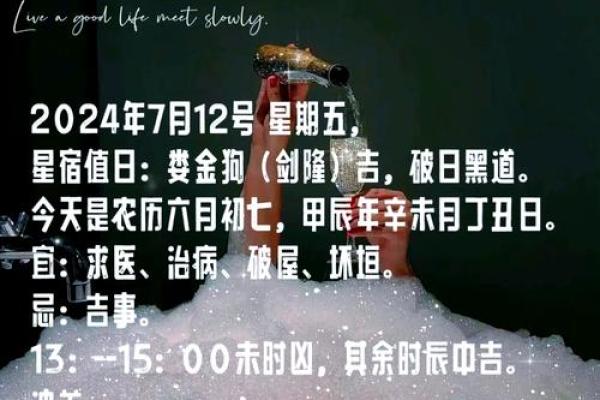 丁亥命人在未来一年行运解析：星宿运势与生活指引