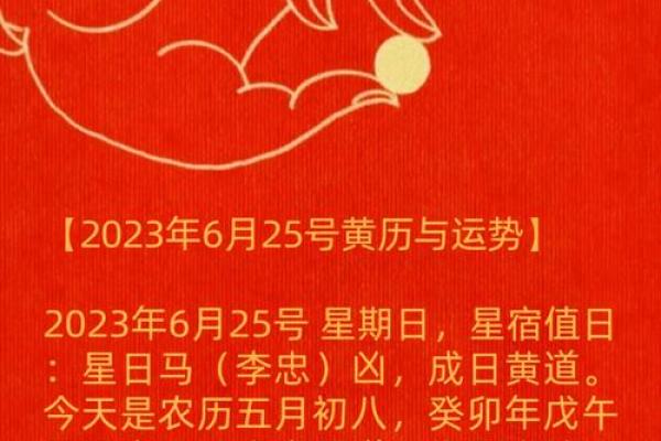 丁亥命人在未来一年行运解析：星宿运势与生活指引