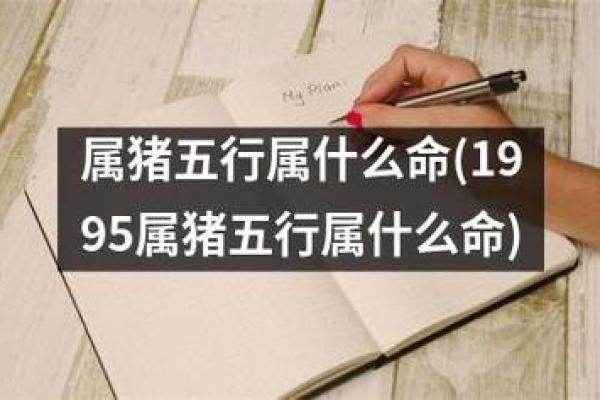 1995年属猪的人生命运与性格解析