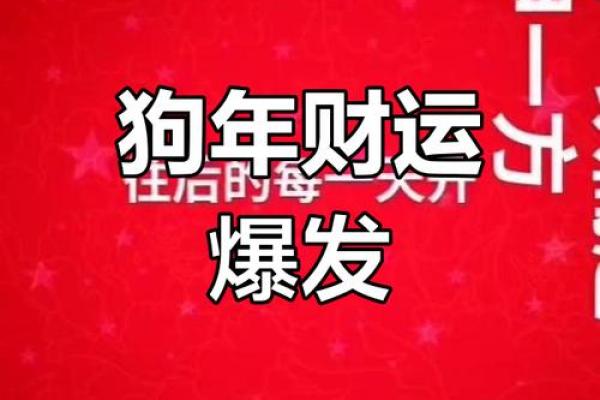 属狗人2023年运势分析：抓住机遇，迎接挑战，实现梦想！
