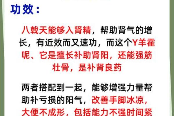 揭秘桑松木命：他们缺乏的五种重要元素
