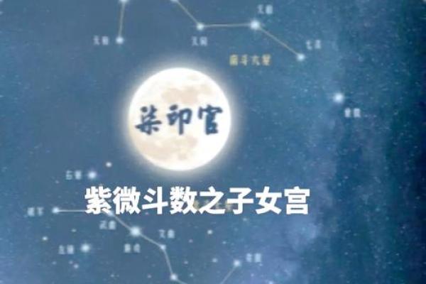 探寻“两个花命”的奥秘：命理与人生的奇妙结合
