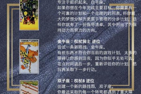 属马的命运解析：激情与冒险的人生旅程