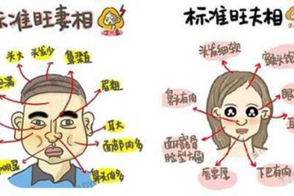 男生头大脸大命运解析：从外貌看人生的不同侧面