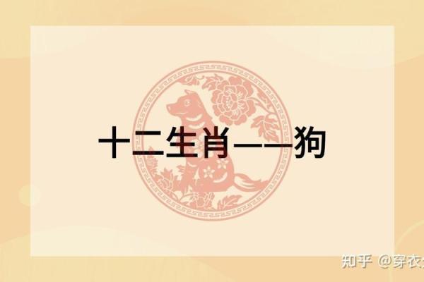 水命与生肖的完美组合：探索最佳配对与相辅相成的水寻缘