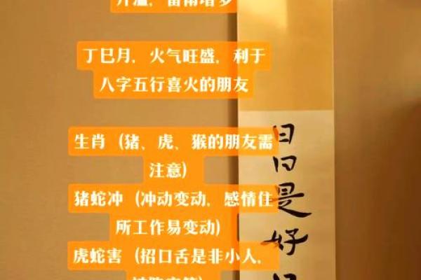 丁巳年生的人命运解析：揭开命理的神秘面纱