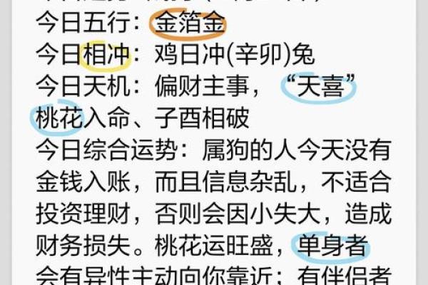 属狗人51岁时的命运与人生透视