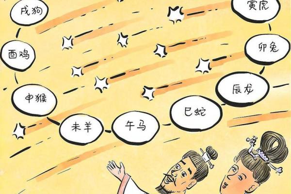 揭秘男命财运与生肖的神秘联系