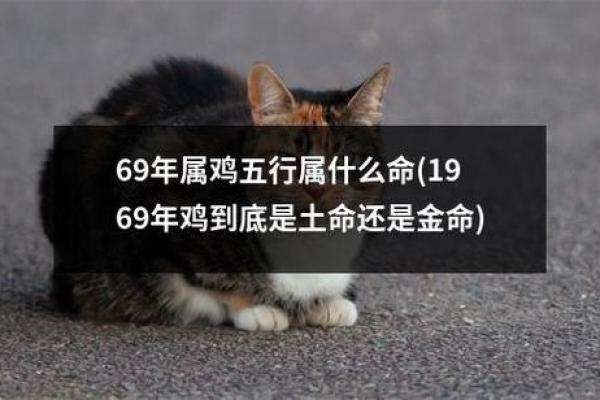 1993年属鸡命运解析：机遇与挑战并存的风云之年
