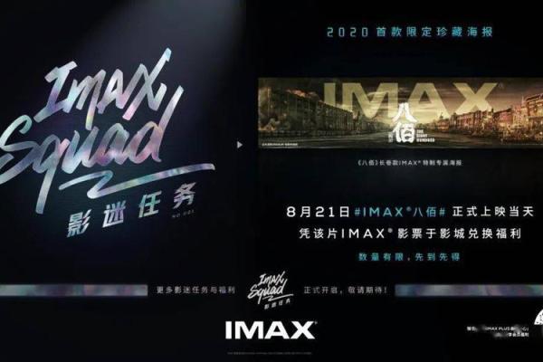 八佰命：揭开数字背后的故事与意义