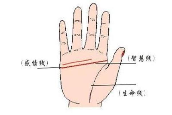 男人断掌手相解析：究竟是哪种命最好？