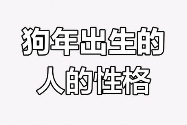 属狗之命：性格解析与生活智慧，以犬之忠诚为蓝本的人生哲学