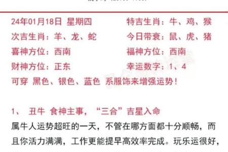 属猪人的命运解析：悠然自得的生活旅程