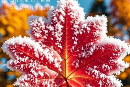 探寻2000年冬月十五：冬日里的温暖与希望