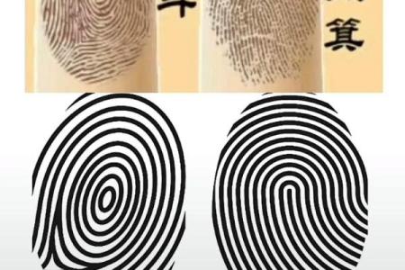 手指10簸萁：命运与指纹之间的神秘联系