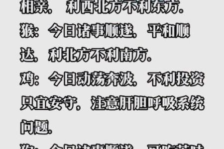 鼠年出生的人的命运解读：探寻属鼠者的性格与运势