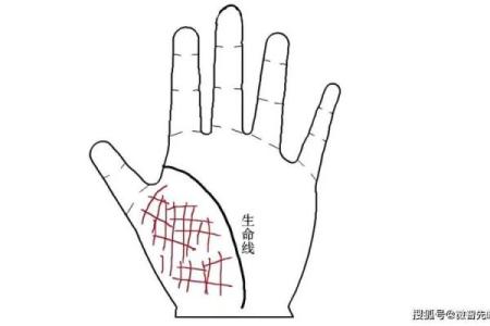 探秘手掌生命线：特别花纹揭示你的命运轨迹